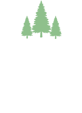 Town of Lisbon